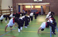 Tai Chi Kung Fu Nederland Rotterdam Xia Quan training